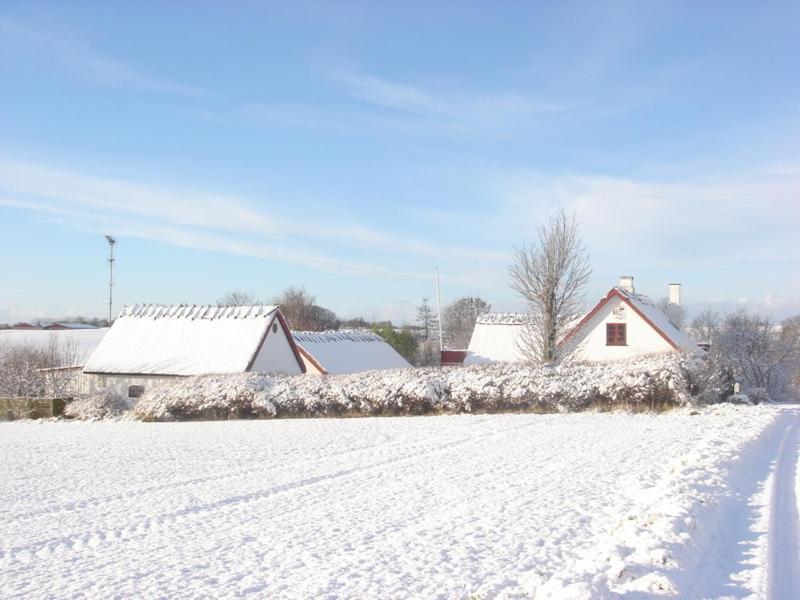 Bulbrovejs Bed&Breakfast Havdrup Zewnętrze zdjęcie